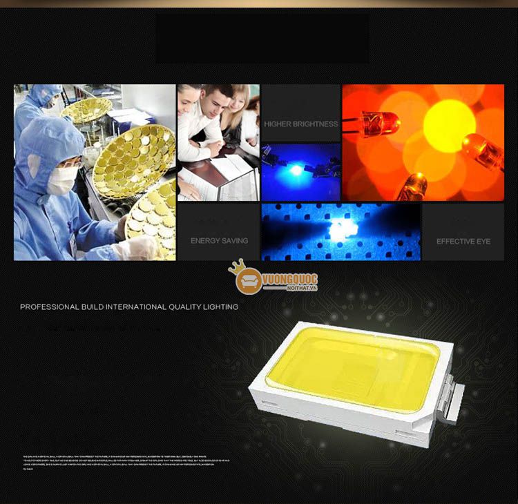 Đèn áp trần sang trọng trang trí nội thất CM177-2